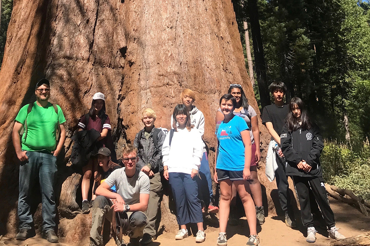 students posing in front of giant redwood tree