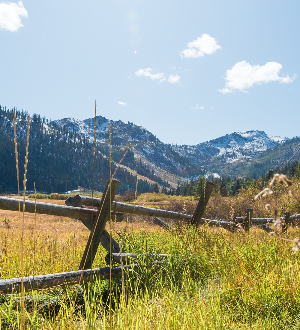 2 students with counselor in lounge